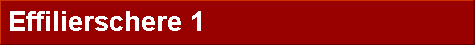  Effilierschere 1 
